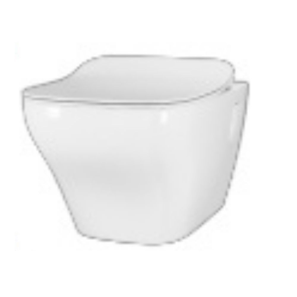 White Wall Hung Toilet Bowl